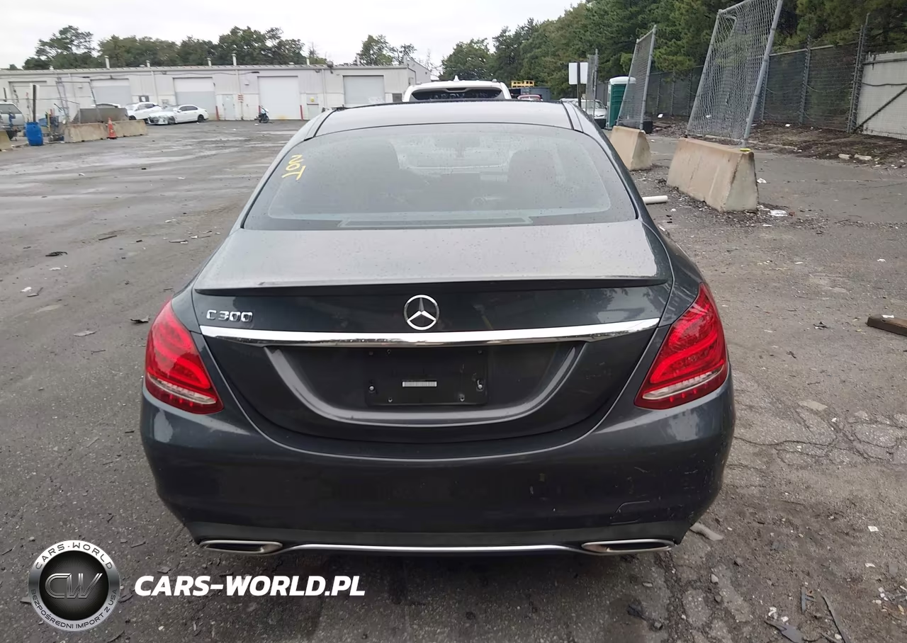 2016 Mercedes-Benz C 300 VIN:55SWF4JB4GU164507 - 16