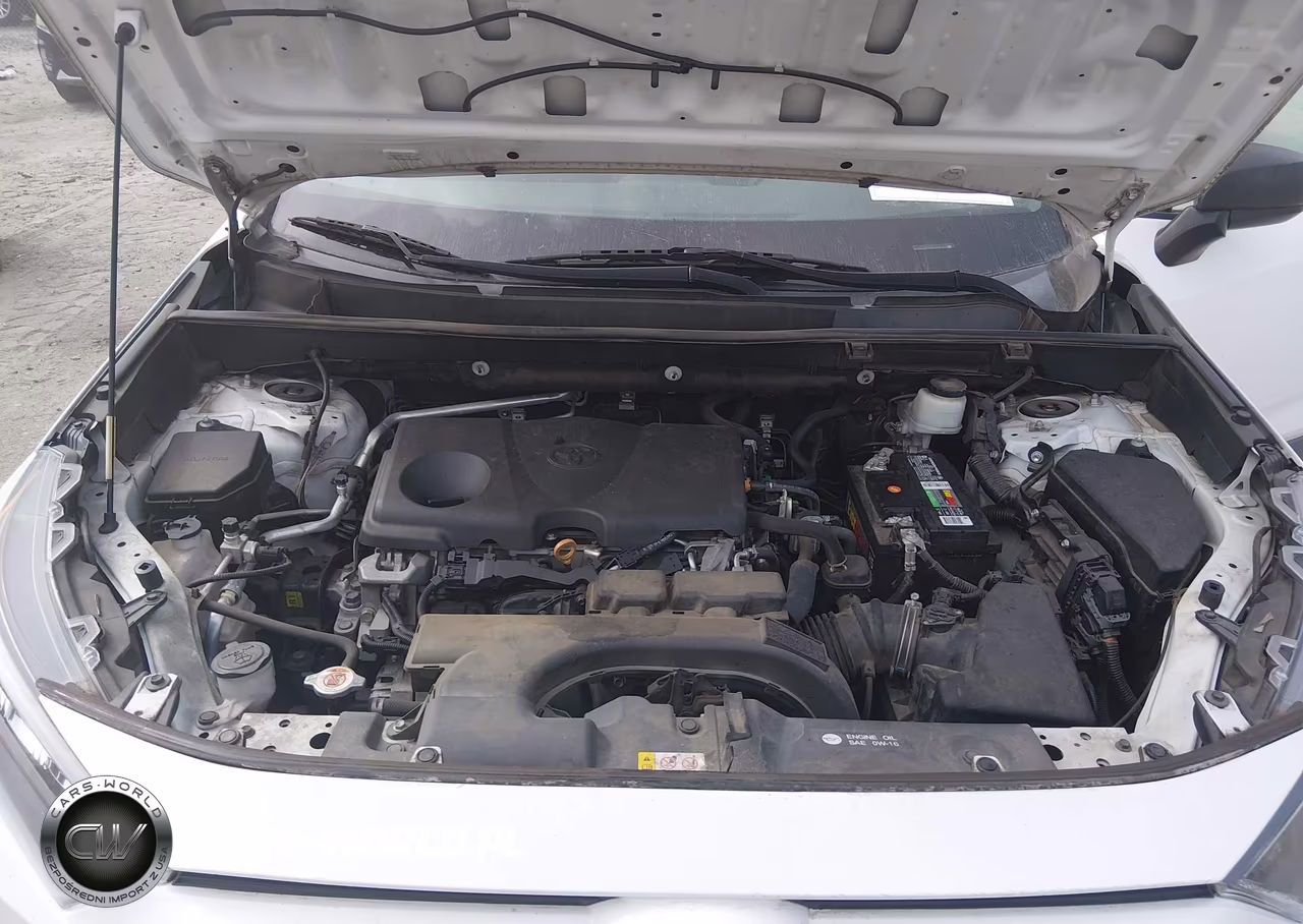 2019 Toyota Rav4 Le VIN:2T3H1RFV3KC025191 - 10