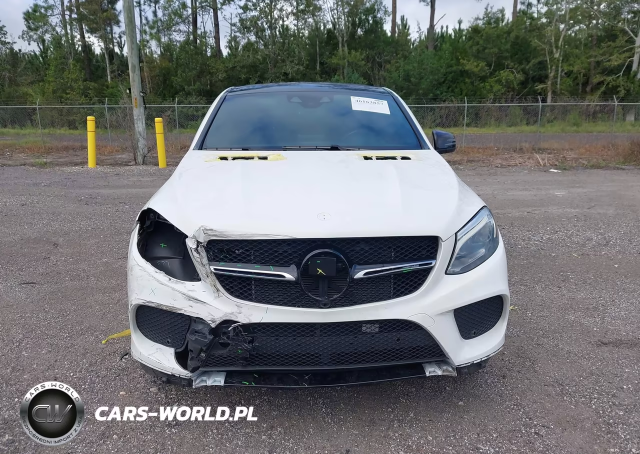 2019 Mercedes-Benz Amg Gle 43 Coupe 4Matic VIN:4JGED6EB0KA129534 - 12