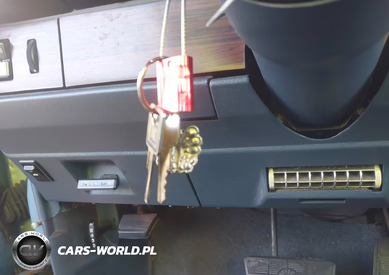 1988 Chevrolet Caprice Classic VIN:1G1BN51H9JA164699 - 11