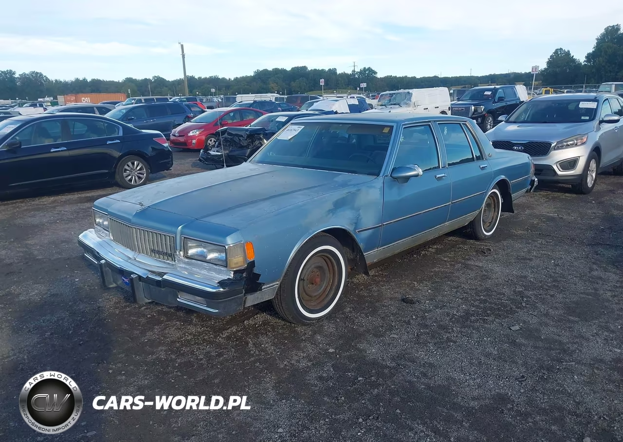 1988 Chevrolet Caprice Classic VIN:1G1BN51H9JA164699 - 2