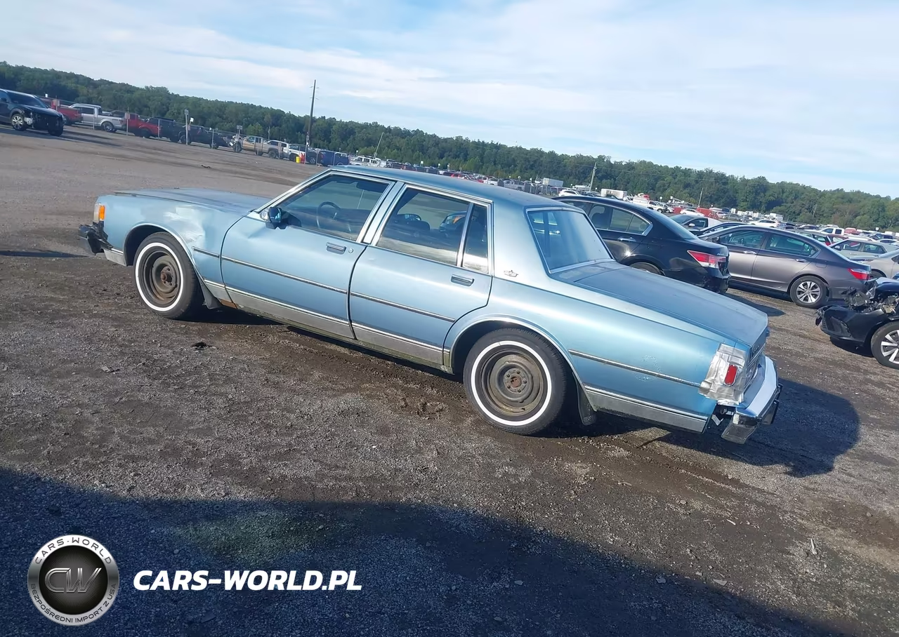 1988 Chevrolet Caprice Classic VIN:1G1BN51H9JA164699 - 3