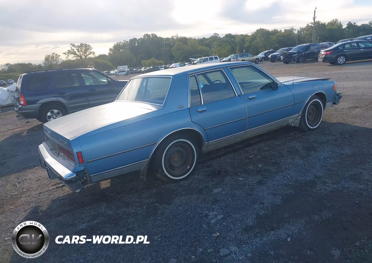 1988 Chevrolet Caprice Classic VIN:1G1BN51H9JA164699 - 4