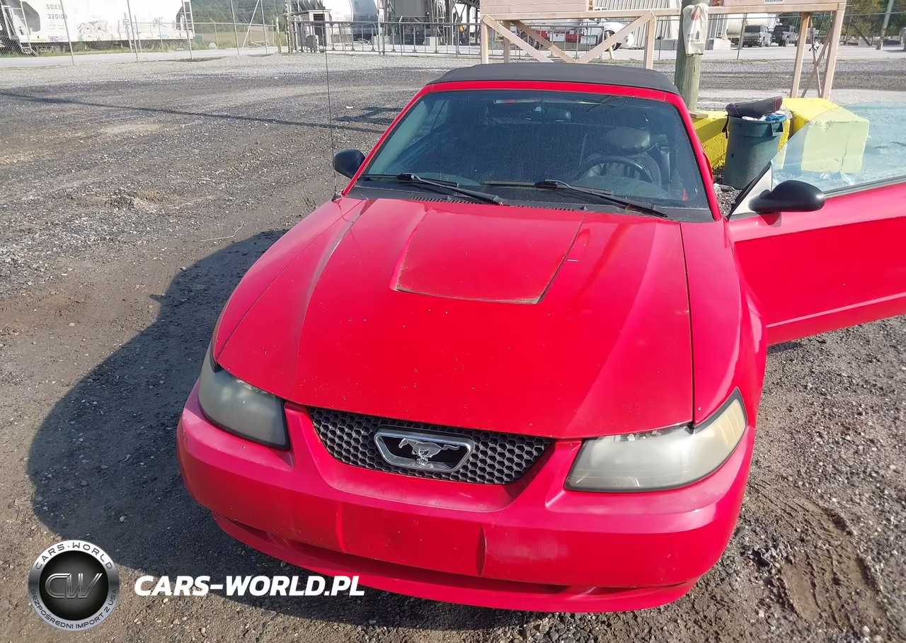 2003 Ford Mustang VIN:1FAFP44413F326777 - 6
