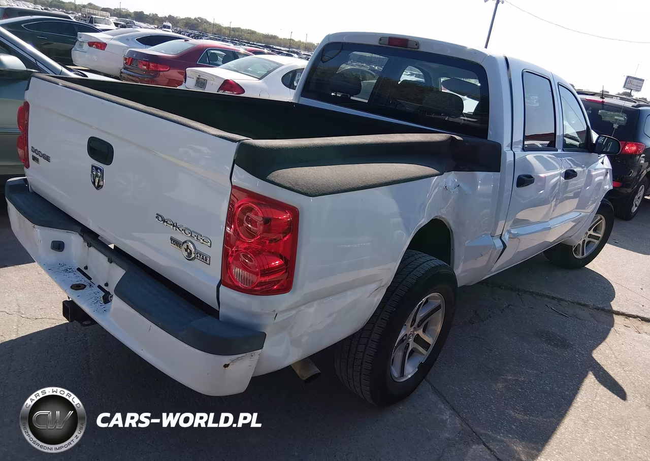 2010 Dodge Dakota Bighorn-Lonestar VIN:1D7CE3GP6AS130721 - 4