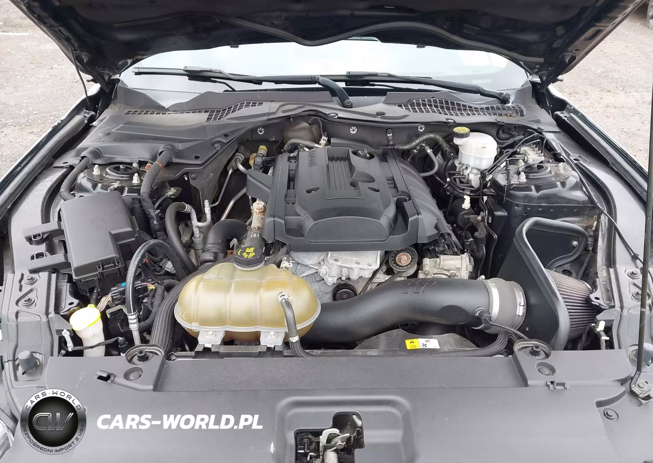2015 Ford Mustang Ecoboost VIN:1FA6P8TH1F5304414 - 10