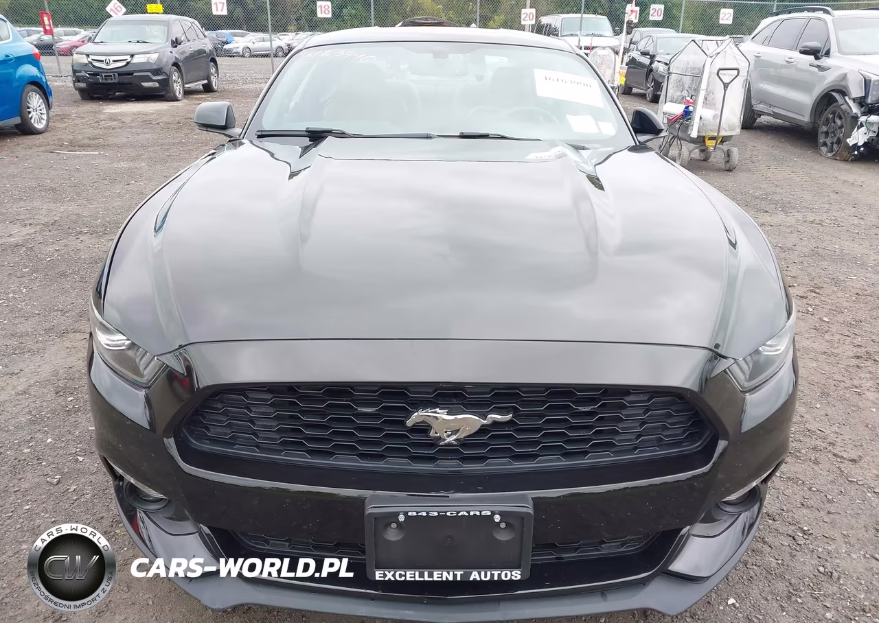 2015 Ford Mustang Ecoboost VIN:1FA6P8TH1F5304414 - 12