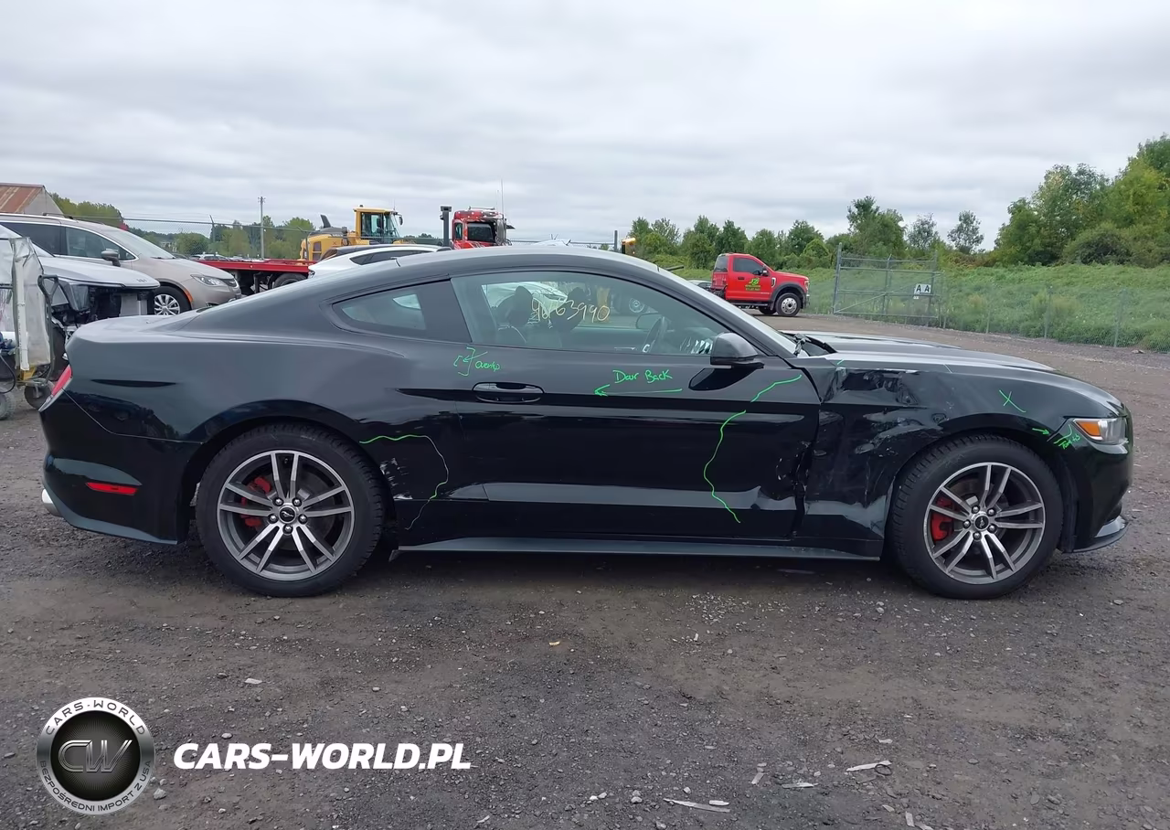 2015 Ford Mustang Ecoboost VIN:1FA6P8TH1F5304414 - 13