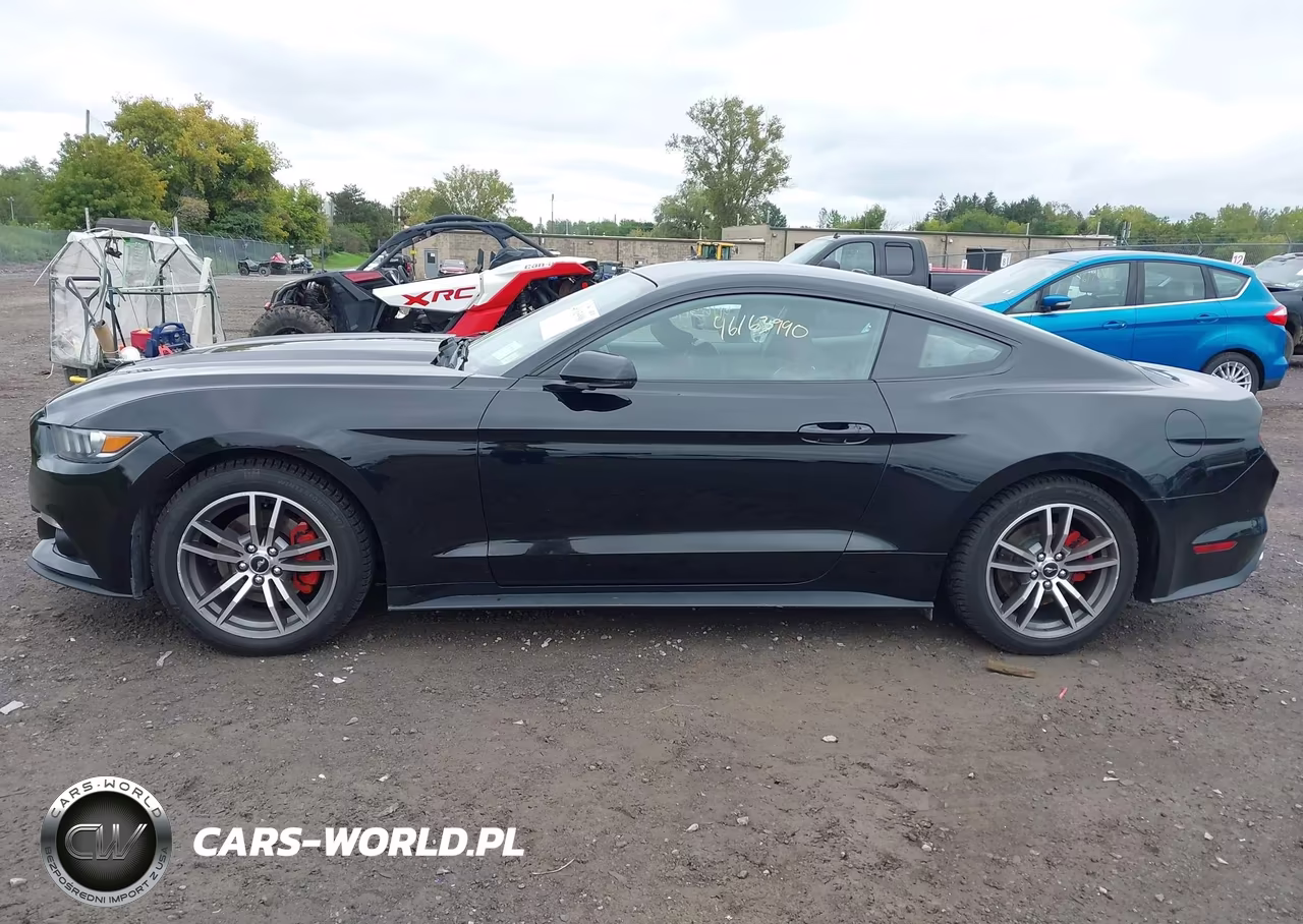 2015 Ford Mustang Ecoboost VIN:1FA6P8TH1F5304414 - 14