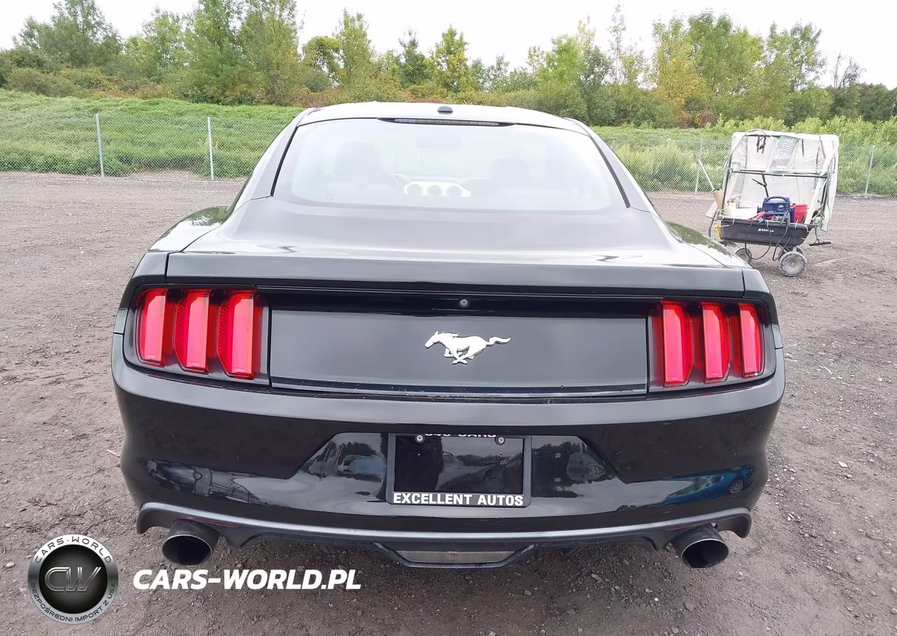 2015 Ford Mustang Ecoboost VIN:1FA6P8TH1F5304414 - 16