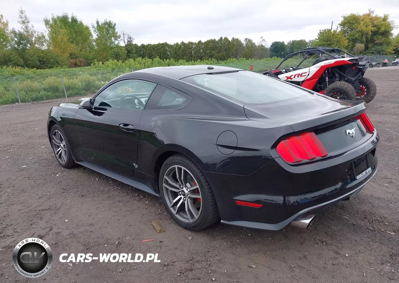 2015 Ford Mustang Ecoboost VIN:1FA6P8TH1F5304414 - 3