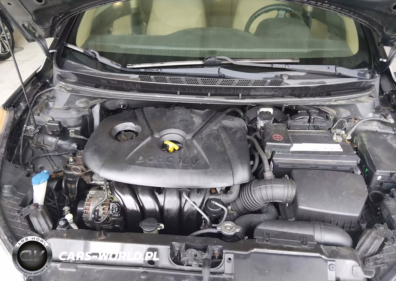 2013 Hyundai Elantra Gls VIN:5NPDH4AE2DH332655 - 10