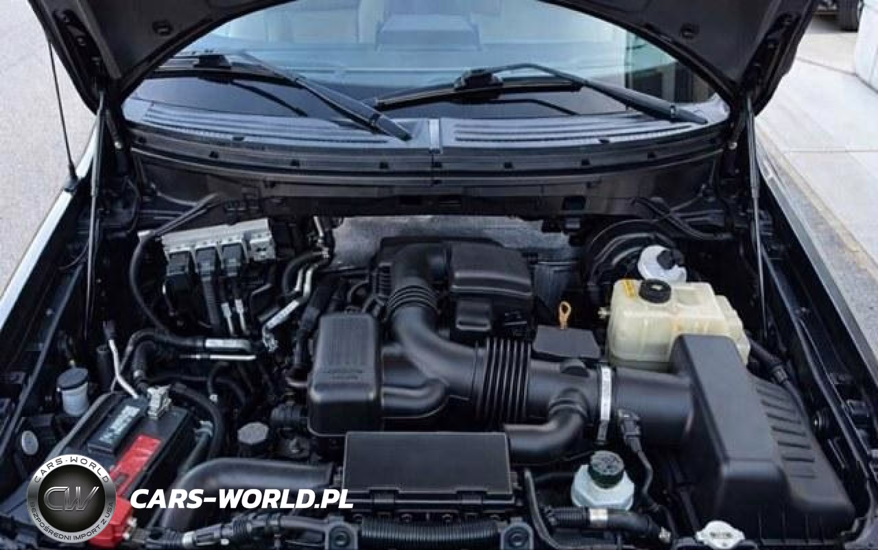 FORD F-150 VIN:1FTPW14V79KA97711 - 9