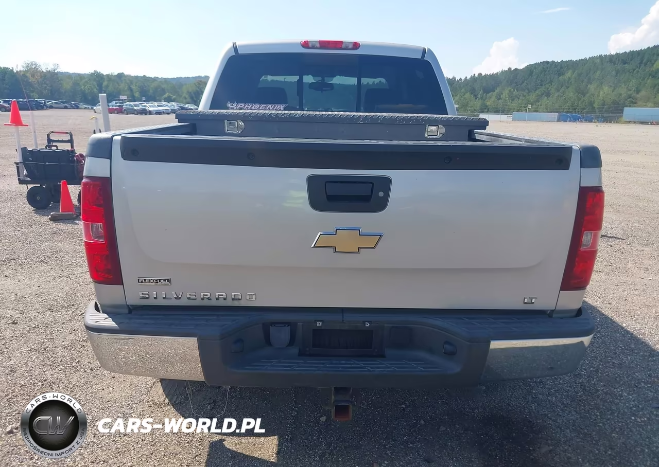 2010 Chevrolet Silverado 1500 Lt VIN:3GCRKSE30AG133015 - 16