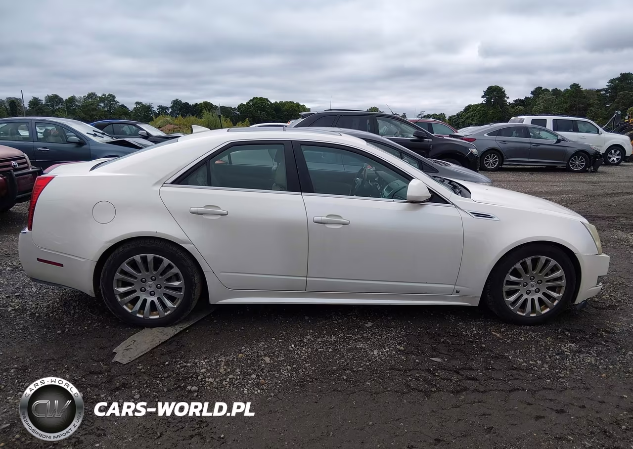 2010 Cadillac Cts VIN:1G6DS5EB0A0103016 - 13