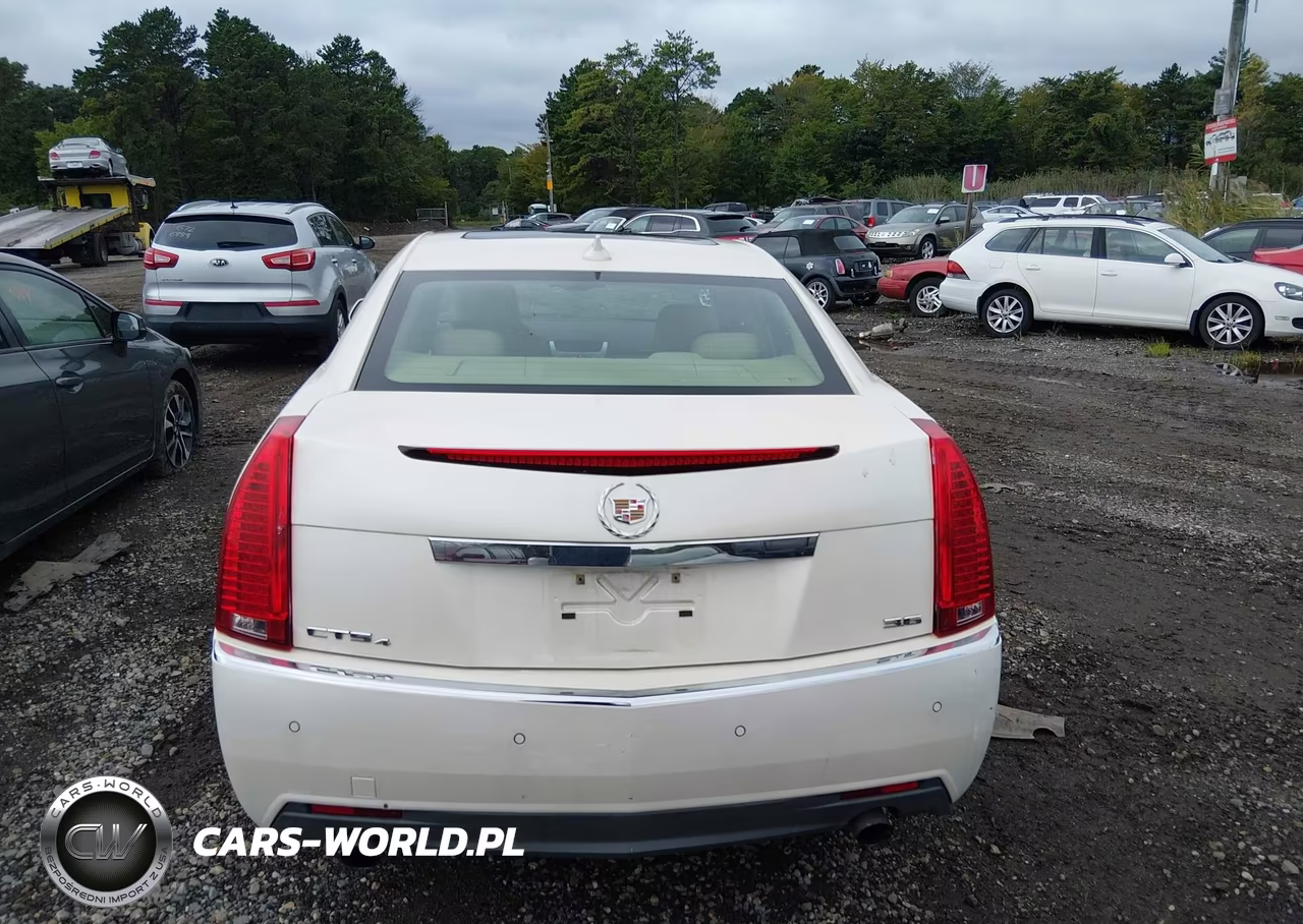 2010 Cadillac Cts VIN:1G6DS5EB0A0103016 - 16