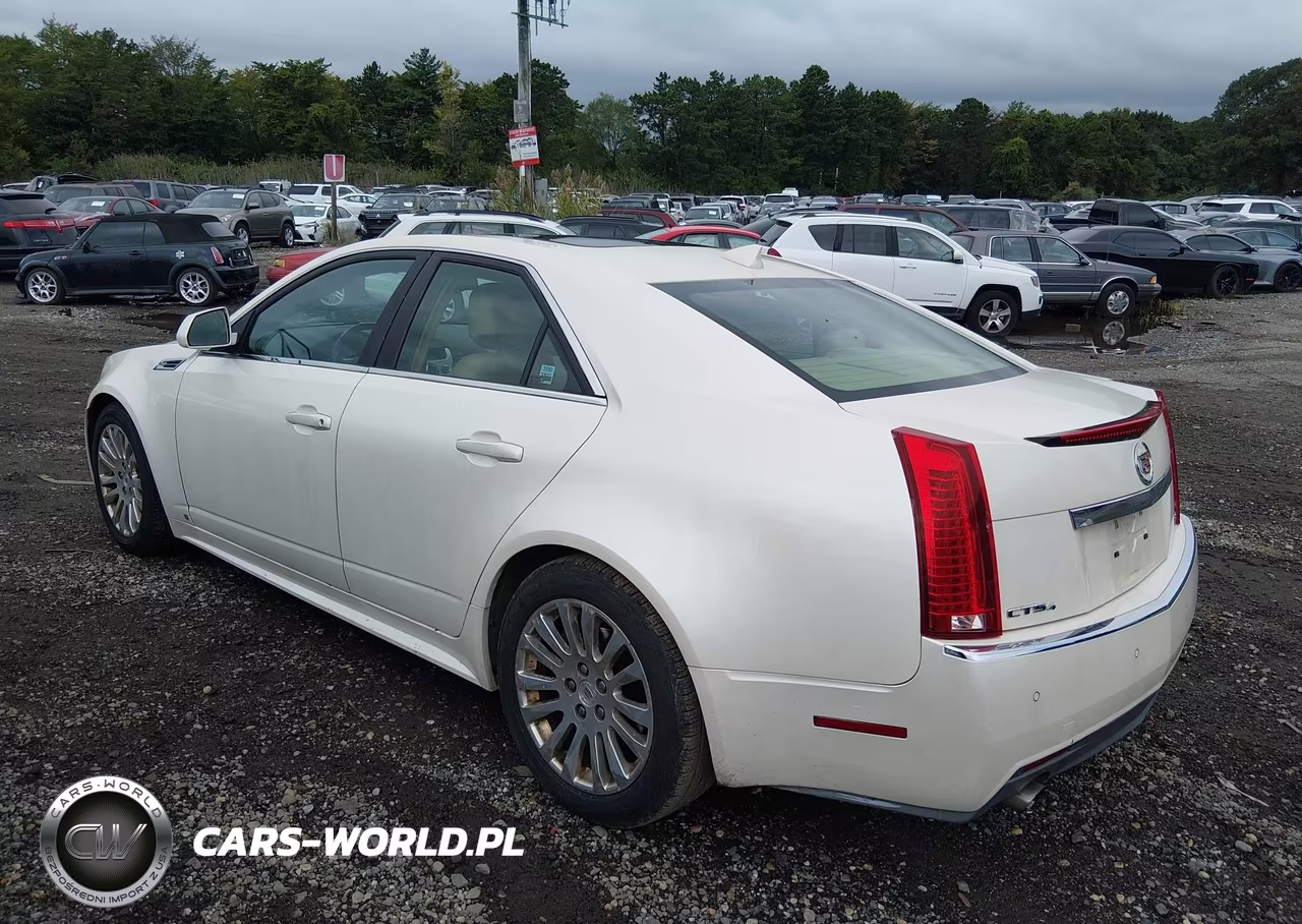 2010 Cadillac Cts VIN:1G6DS5EB0A0103016 - 3