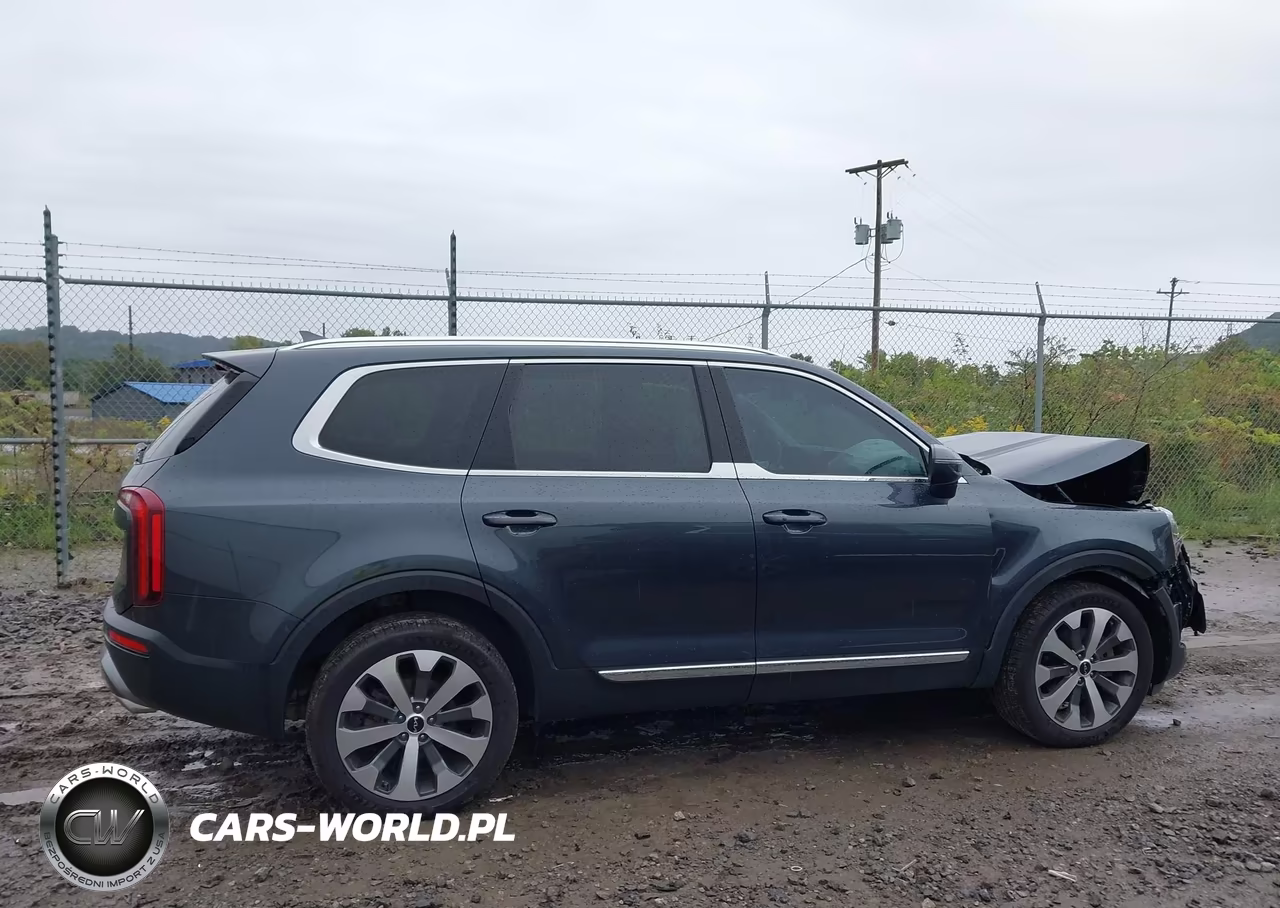 2022 Kia Telluride Ex VIN:5XYP3DHC0NG289040 - 13