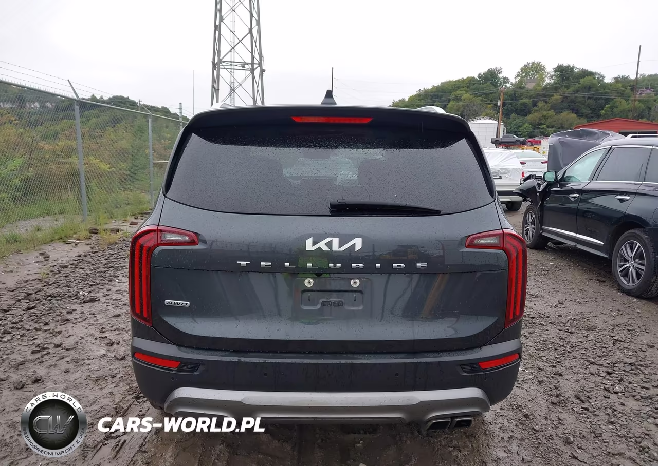 2022 Kia Telluride Ex VIN:5XYP3DHC0NG289040 - 16