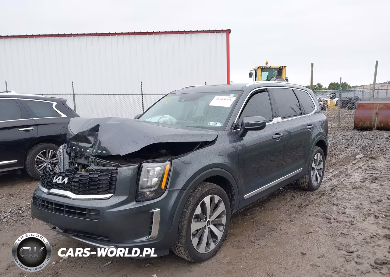 2022 Kia Telluride Ex VIN:5XYP3DHC0NG289040 - 2