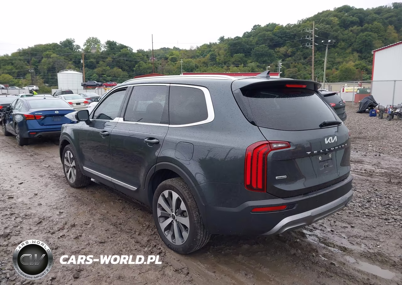 2022 Kia Telluride Ex VIN:5XYP3DHC0NG289040 - 3