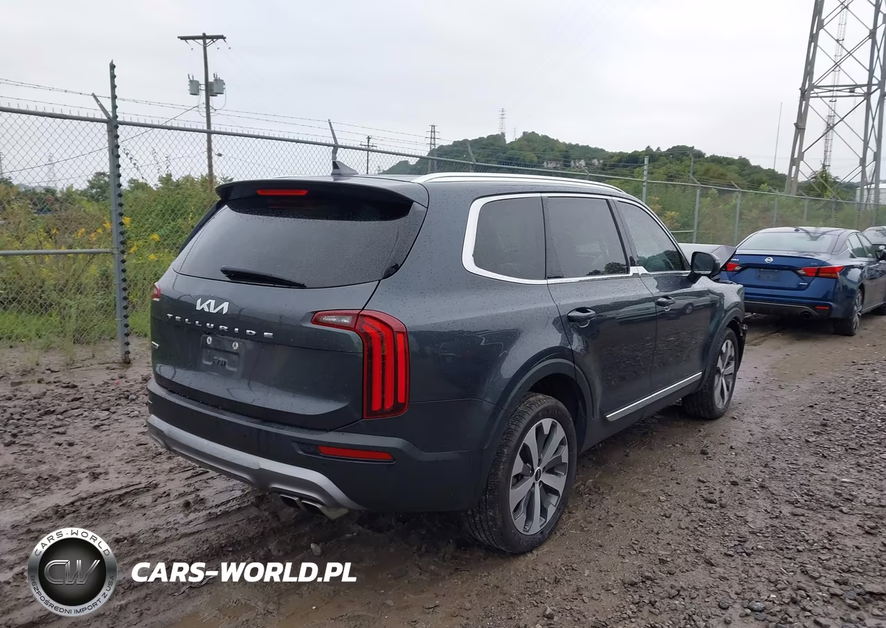 2022 Kia Telluride Ex VIN:5XYP3DHC0NG289040 - 4