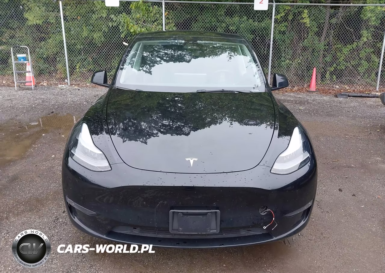 2024 Tesla Model Y Long Range Dual Motor All-Wheel Drive VIN:7SAYGDEE7RA225833 - 11