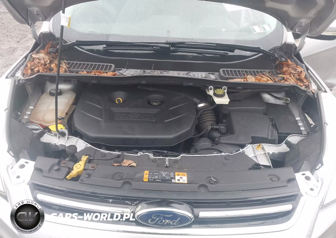 2013 Ford Escape Sel VIN:1FMCU9H92DUC21344 - 10