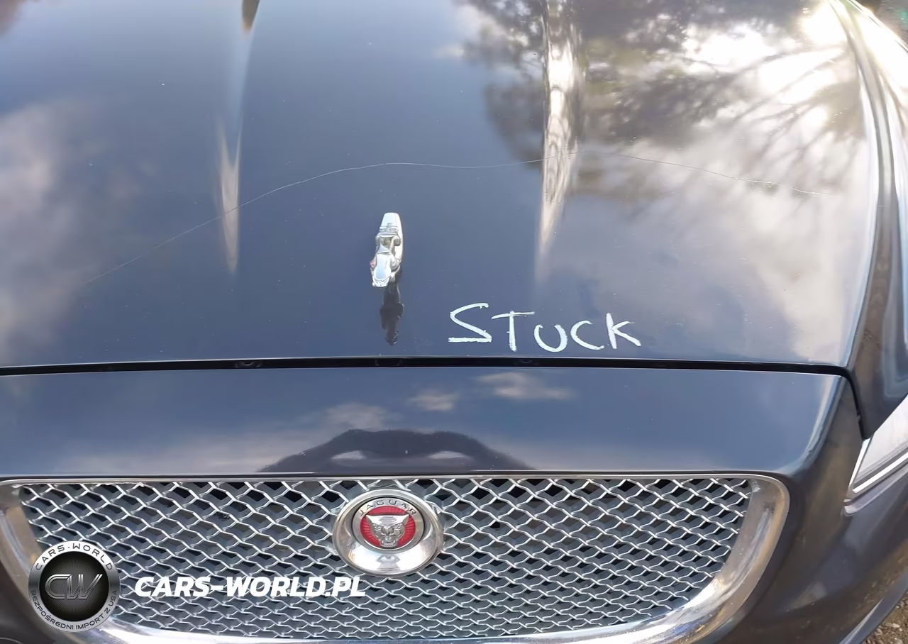 2015 Jaguar Xj Xjl Portfolio VIN:SAJWJ2GD1F8V78874 - 10