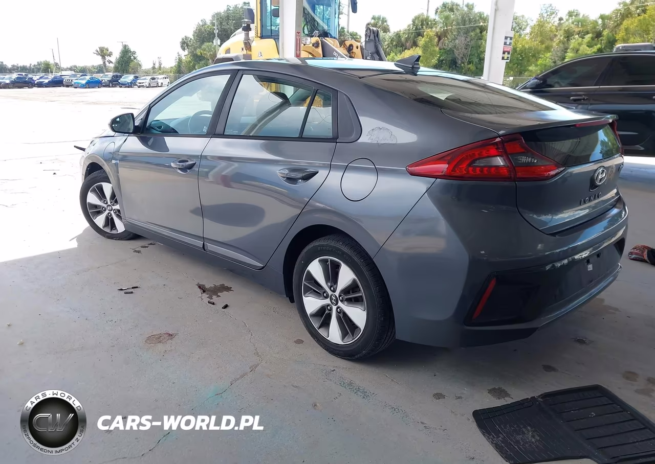 2019 Hyundai Ioniq Plug-In Hybrid VIN:KMHC65LD3KU132863 - 3