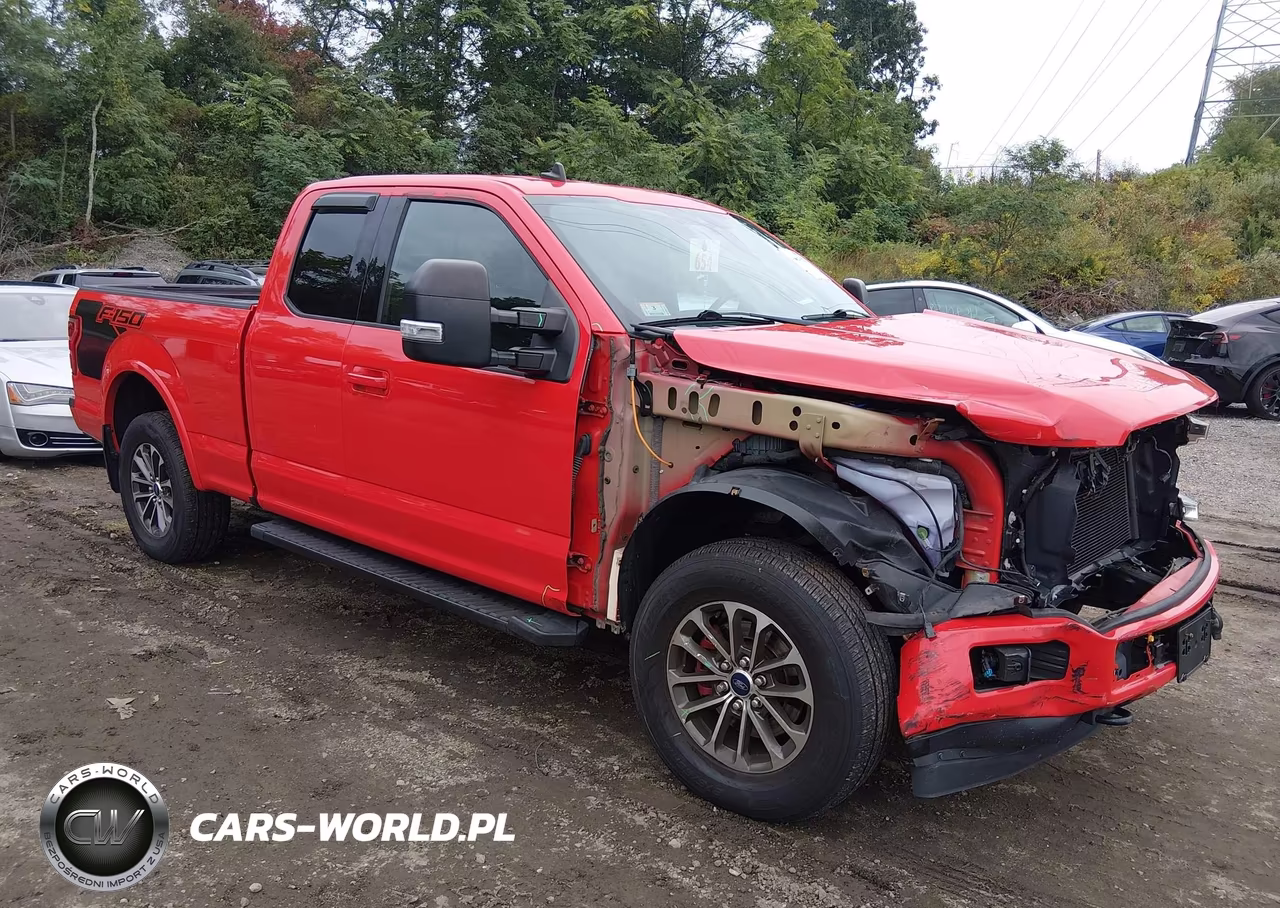 2019 Ford F-150 Xlt