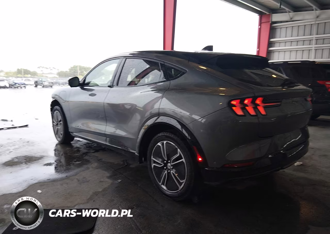 2023 Ford Mustang Mach-E Premium VIN:3FMTK3R40PMA67313 - 3