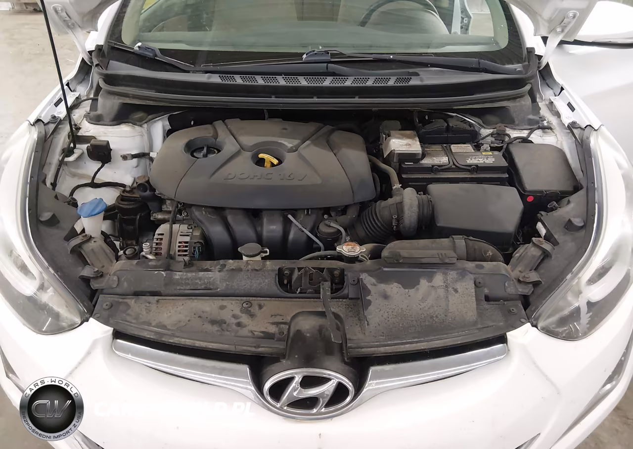 2016 Hyundai Elantra Value Edition VIN:5NPDH4AE0GH718382 - 10