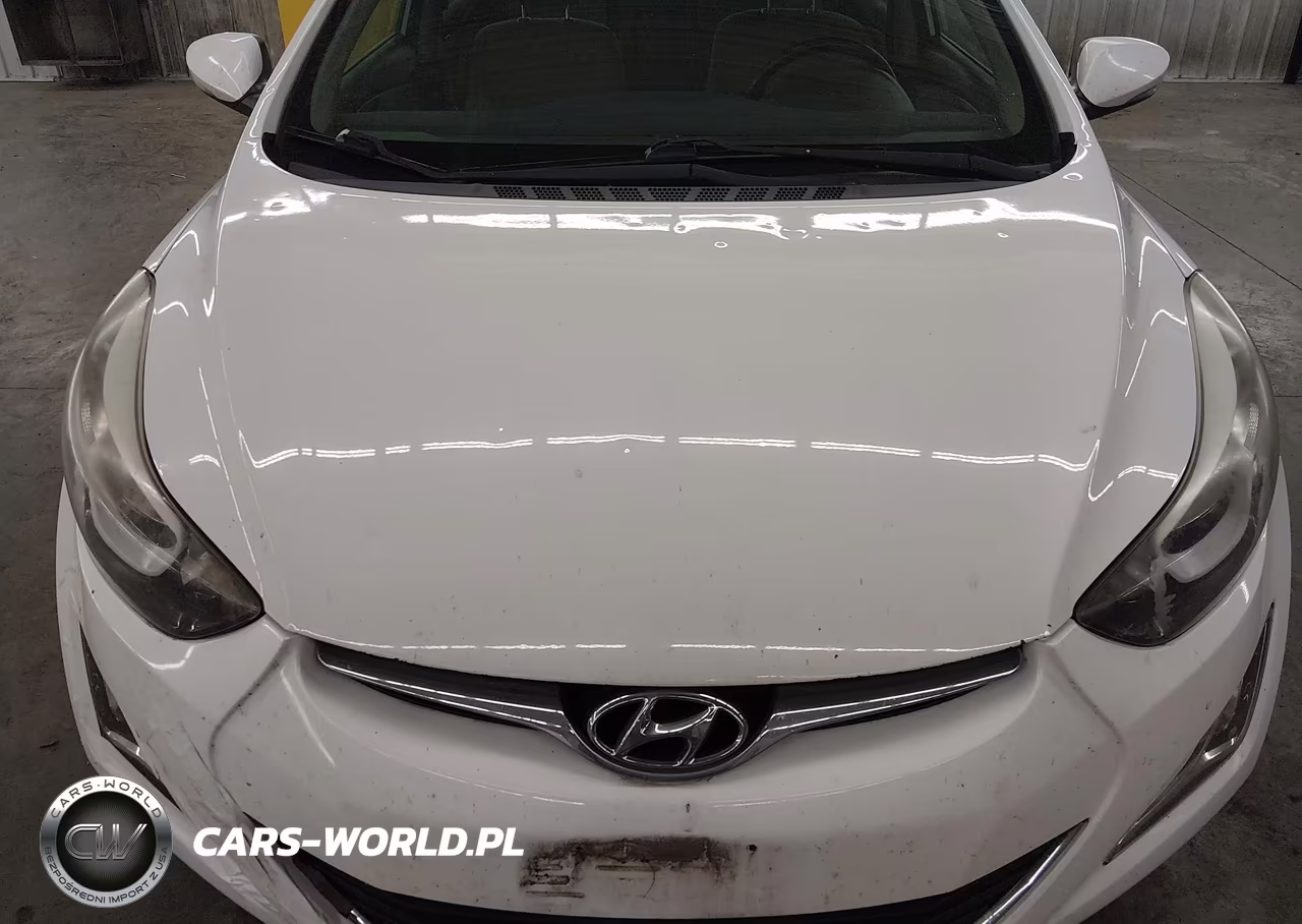 2016 Hyundai Elantra Value Edition VIN:5NPDH4AE0GH718382 - 6