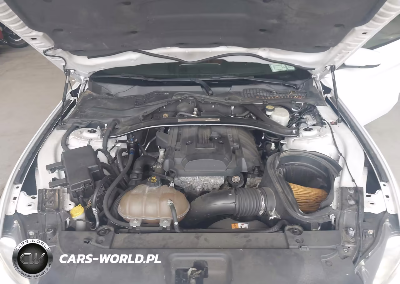2015 Ford Mustang Ecoboost VIN:1FA6P8TH2F5315972 - 10