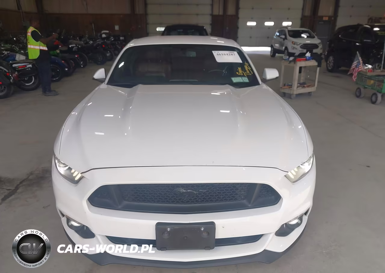 2015 Ford Mustang Ecoboost VIN:1FA6P8TH2F5315972 - 12