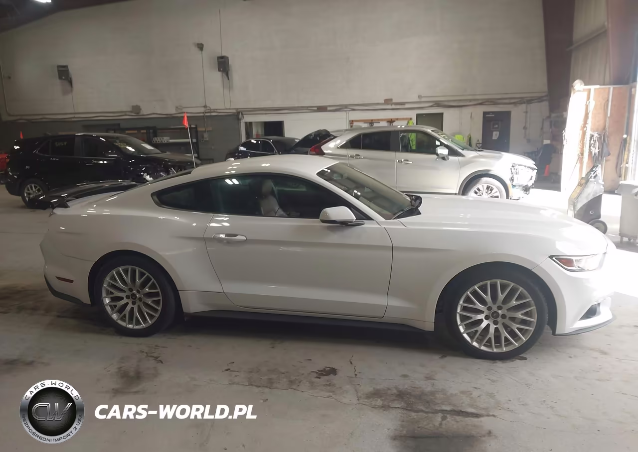 2015 Ford Mustang Ecoboost VIN:1FA6P8TH2F5315972 - 13