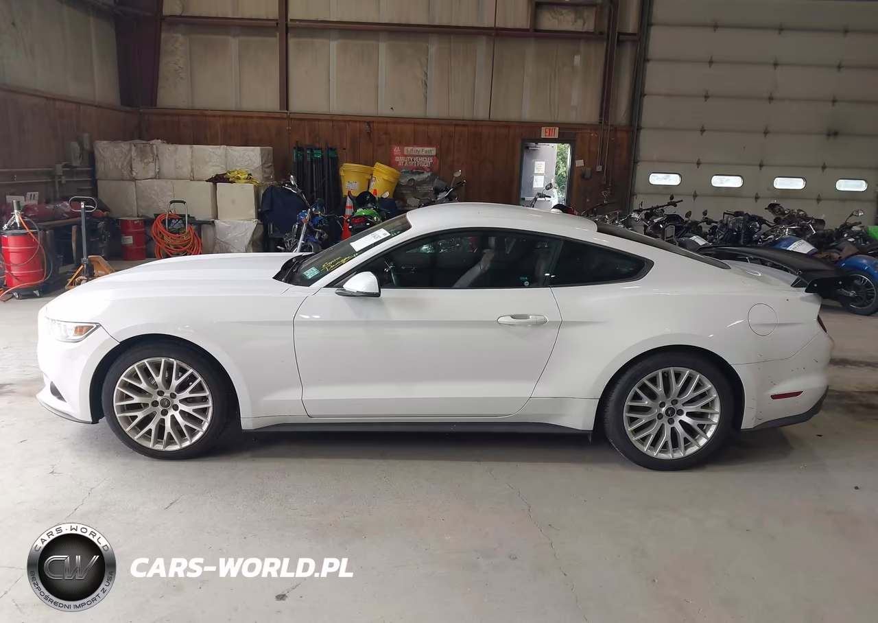 2015 Ford Mustang Ecoboost VIN:1FA6P8TH2F5315972 - 14