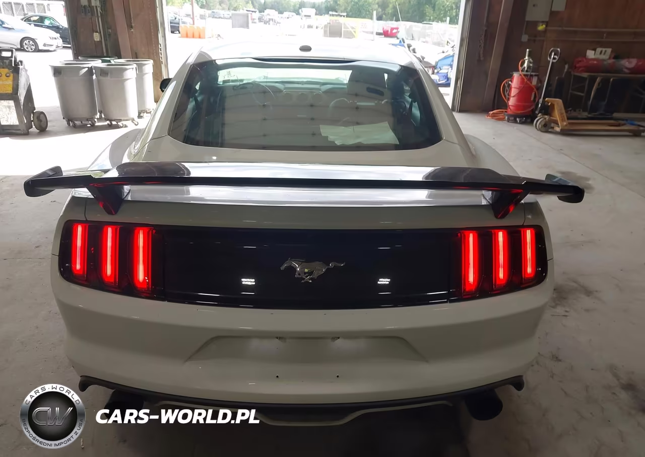 2015 Ford Mustang Ecoboost VIN:1FA6P8TH2F5315972 - 16