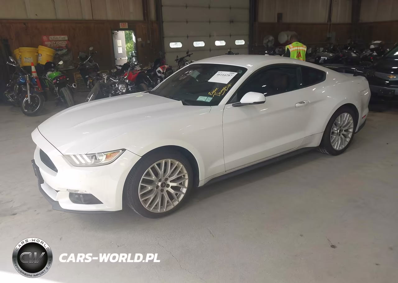 2015 Ford Mustang Ecoboost VIN:1FA6P8TH2F5315972 - 2