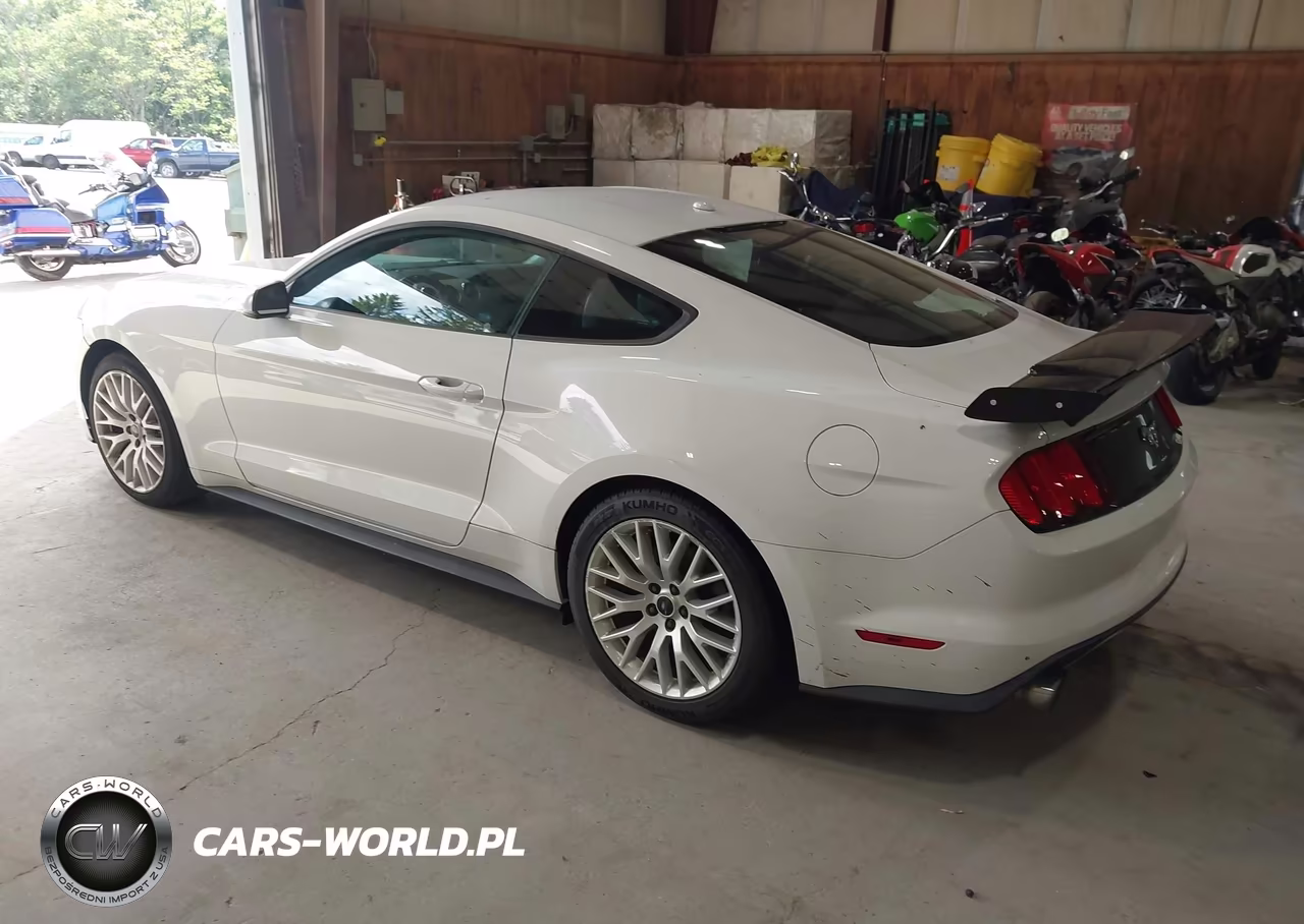 2015 Ford Mustang Ecoboost VIN:1FA6P8TH2F5315972 - 3