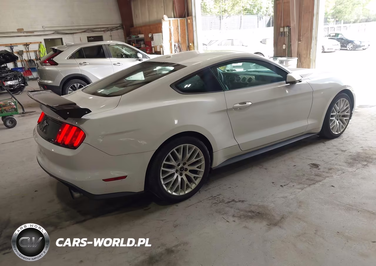 2015 Ford Mustang Ecoboost VIN:1FA6P8TH2F5315972 - 4