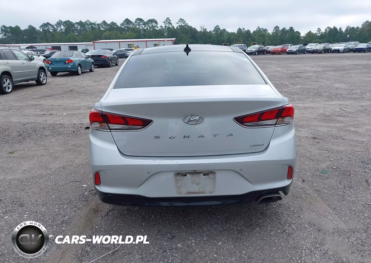 2019 Hyundai Sonata Limited VIN:5NPE34AF1KH814686 - 16