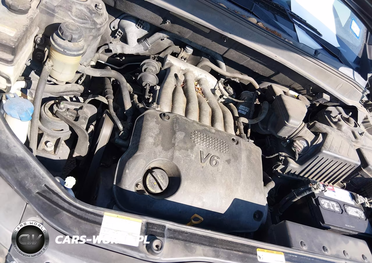 2009 Hyundai Santa Fe Gls VIN:5NMSG13D39H286402 - 10