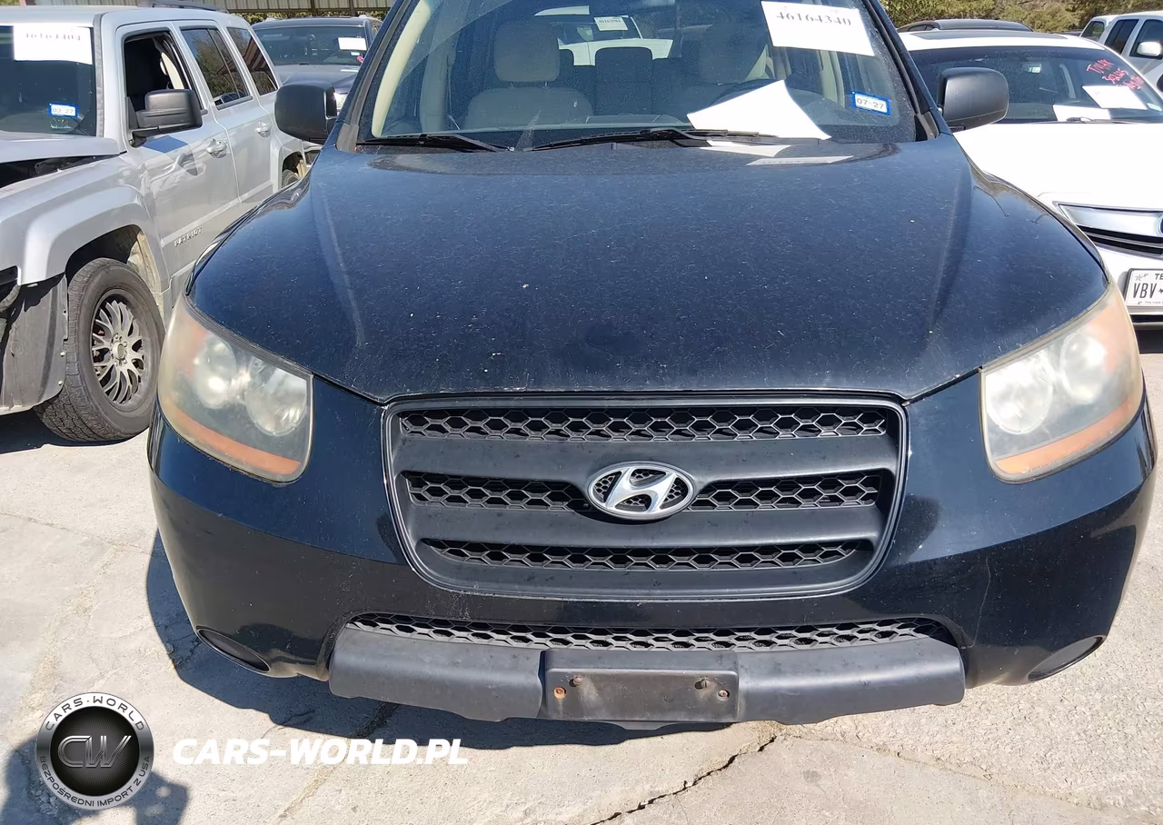 2009 Hyundai Santa Fe Gls VIN:5NMSG13D39H286402 - 6