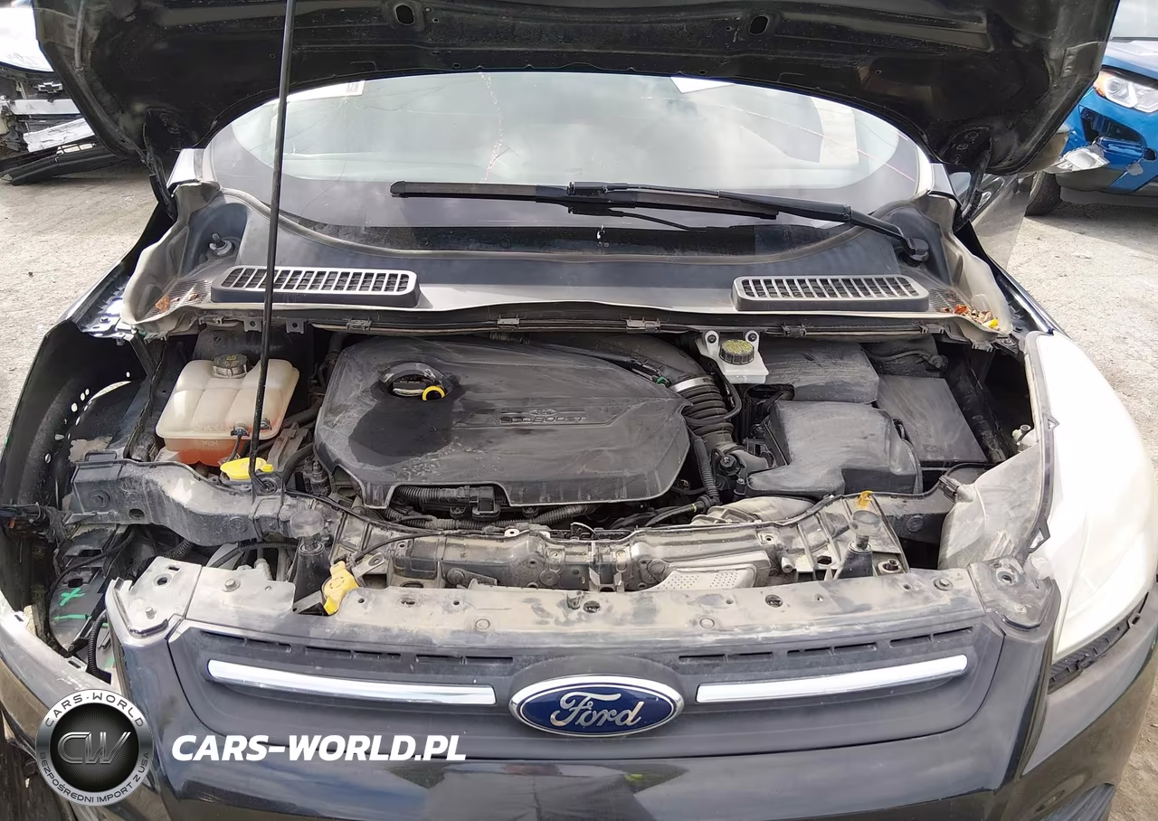 2014 Ford Escape Se VIN:1FMCU0GX4EUE56664 - 10