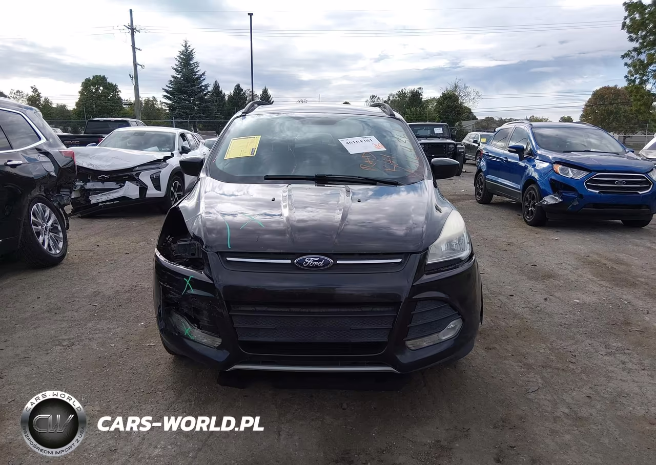 2014 Ford Escape Se VIN:1FMCU0GX4EUE56664 - 12