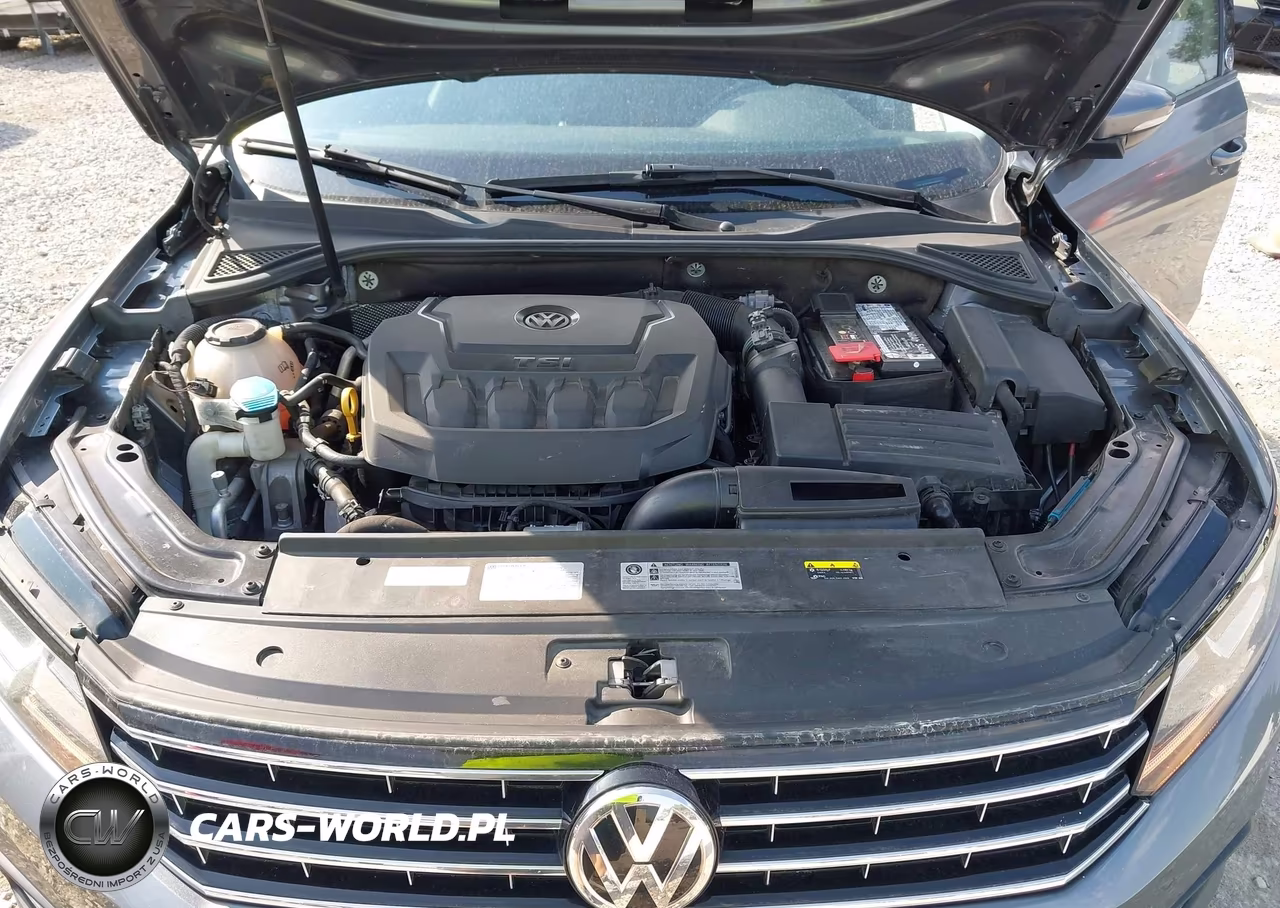 2019 Volkswagen Passat 2.0T Wolfsburg Edition VIN:1VWLA7A3XKC006110 - 10