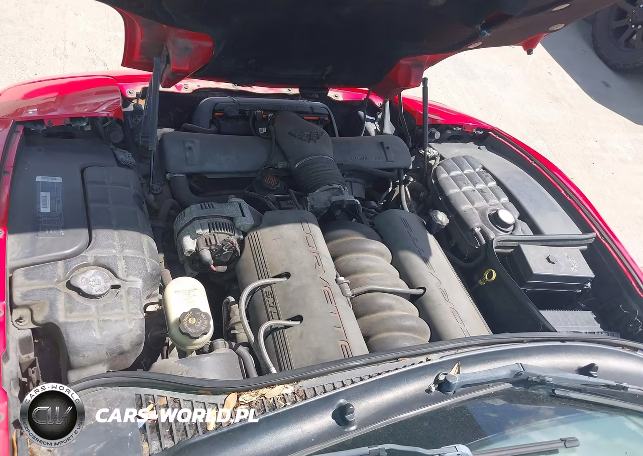 1998 Chevrolet Corvette VIN:1G1YY32G0W5108016 - 10