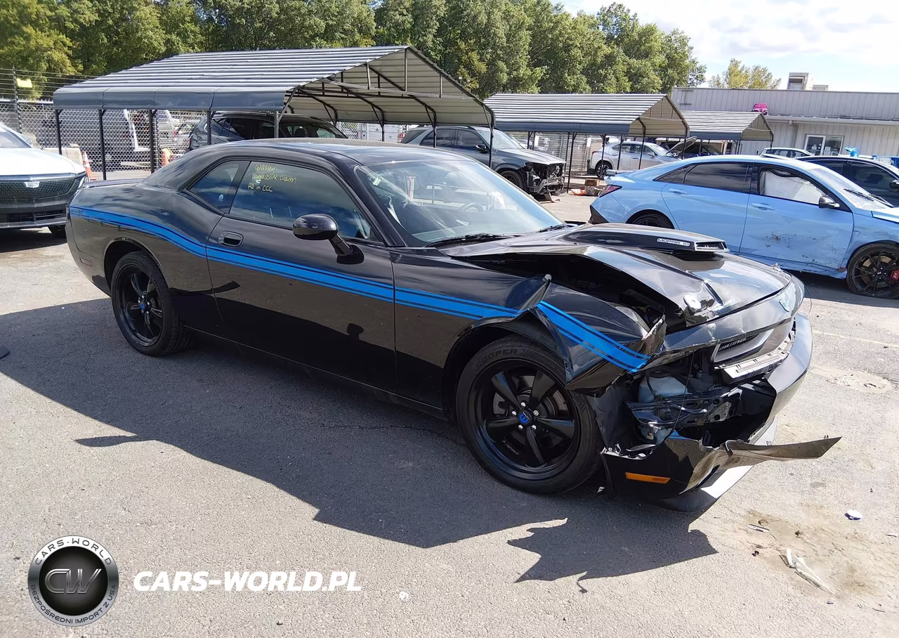 2010 Dodge Challenger R-T VIN:2B3CJ5DT5AH295977 - 1